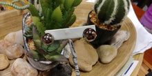 Load image into Gallery viewer, Mini-Me Mercury Gray Earrings
