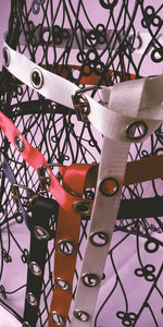 Belt